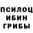 Псилоцибиновые грибы Psilocybe Cultural Atlaz