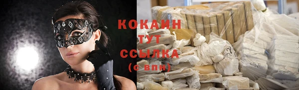 твердый Богородицк