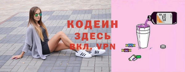 твердый Богородицк