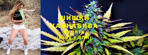 гидропоника Богданович