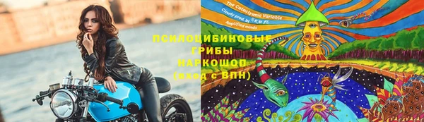 твердый Богородицк