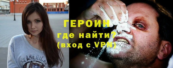 прущие грибы Саяногорск